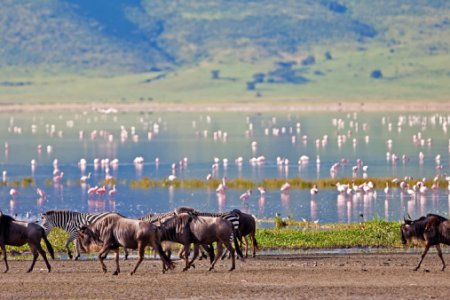 Танзания: 7 основных достопримечательностей Танзании