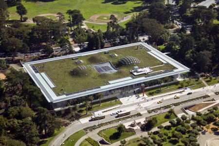 Музей Академии наук Калифорнии