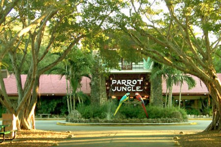 Parrot Jungle Island