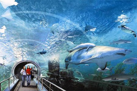 АквариумSiam Ocean World