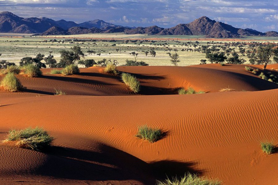 Реферат: Национальные парки Намибии