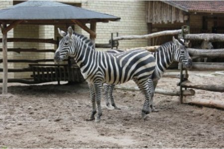 Литовский зоопарк