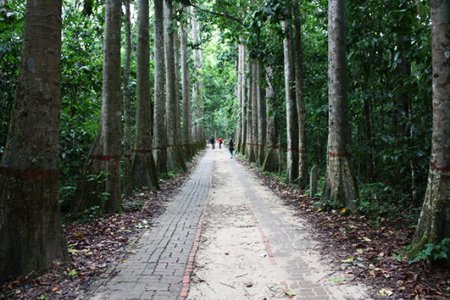 Национальный парк Лавачара