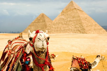 Этот год может стать худшим в истории туризма Египта