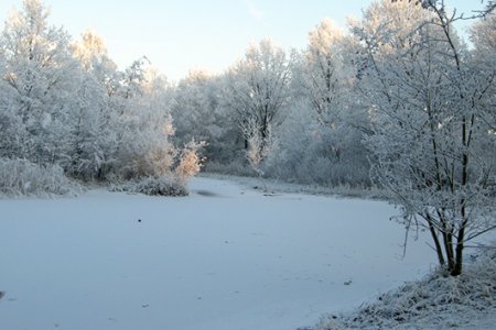 Парк Горзен